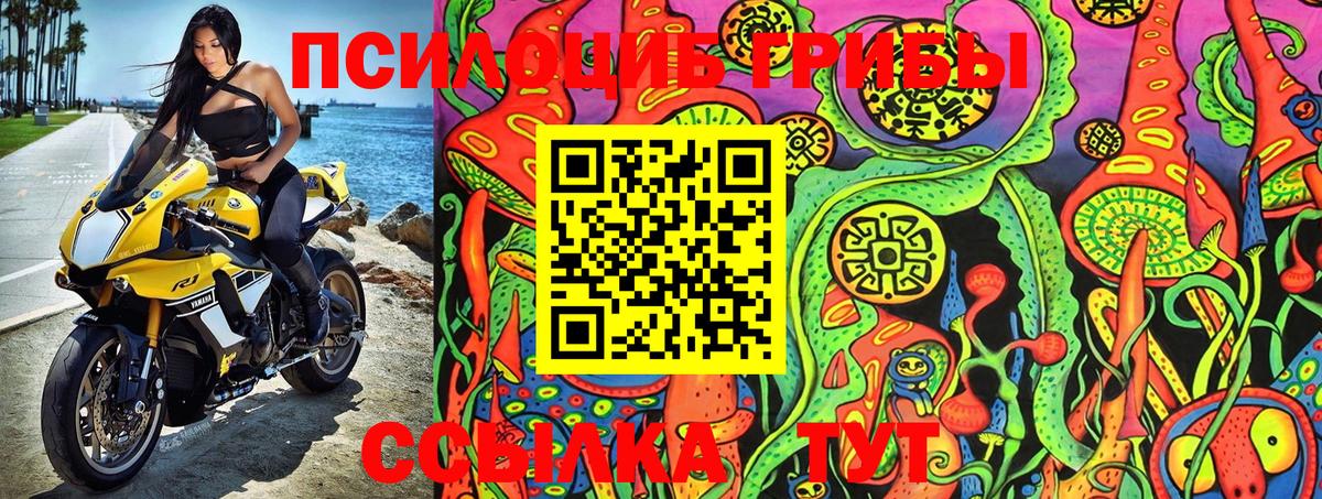 Галлюциногенные грибы ЛСД  Вход с VPN  Псилоцибиновые грибы Magic Shrooms  Назрань 